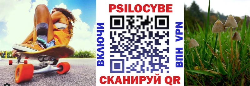 Купить где  Мегион  Галлюциногенные грибы GOLDEN TEACHER 